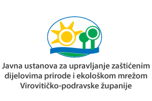 javna ustanova